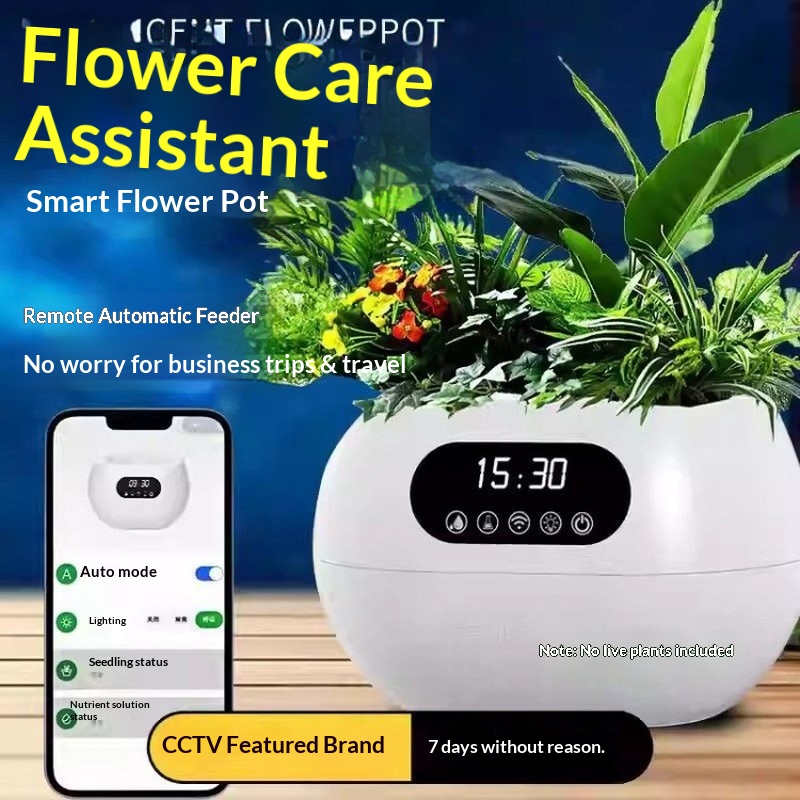 Умный цветочный горшок с автом – обзор и цена Flower Supply